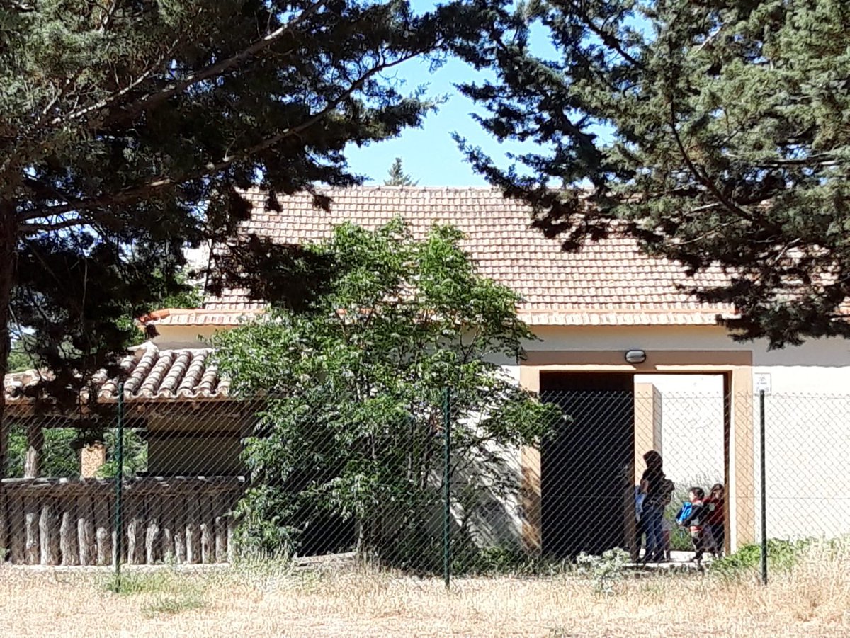 ¡Visita al Aula de la Naturaleza de l@s alumn@s de infantil del Colegio Adolfo Chicano de Las Pedroñeras! 🐿🌳🌱🐁 Y en los próximos días lo harán más grupos de alumn@s de infantil para conocer la flora y fauna de nuestro entorno. #SanClementeSostenible #SanClementeEstáDeModa