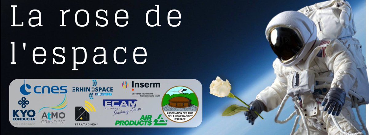 Strataggem tweet media