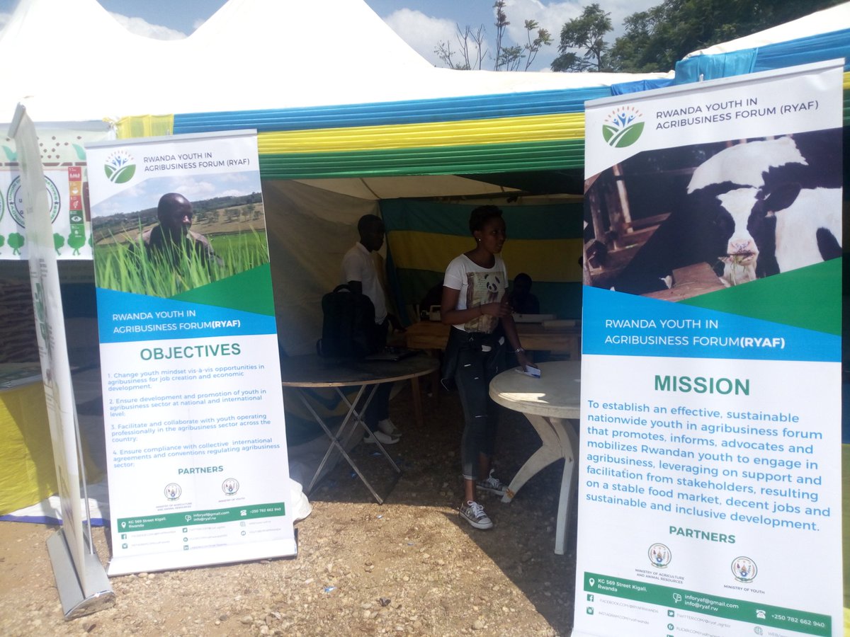 ryaf_agribiz's tweet photo. #RYA is participating in 
#OPENDAY that is happening now at @Kamonyi ,Runda Sector., as one of key partners of this district.

Our Young agripreneurs are ready now to exhibit their products and  innovation through showing how #agriculture it is a sector of opportunity for youth. https://t.co/WlAoAHuhN0