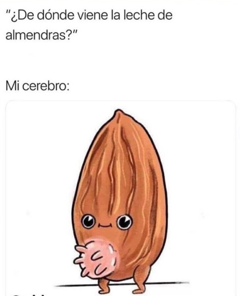 Mi cabeza cuando pienso en la leche de almendras 🙄