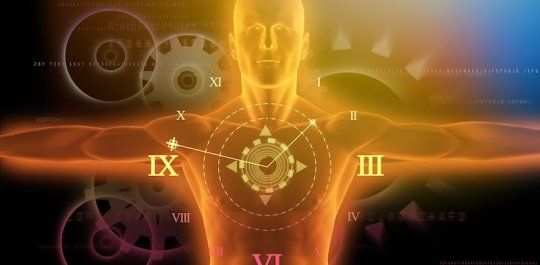 BiohackBlue's tweet image. Circadian clocks: Body parts respond to day and night independently from brain, studies show. buff.ly/2Xf5EAB
#BiohackerBlueprint
#NeuroOptimization