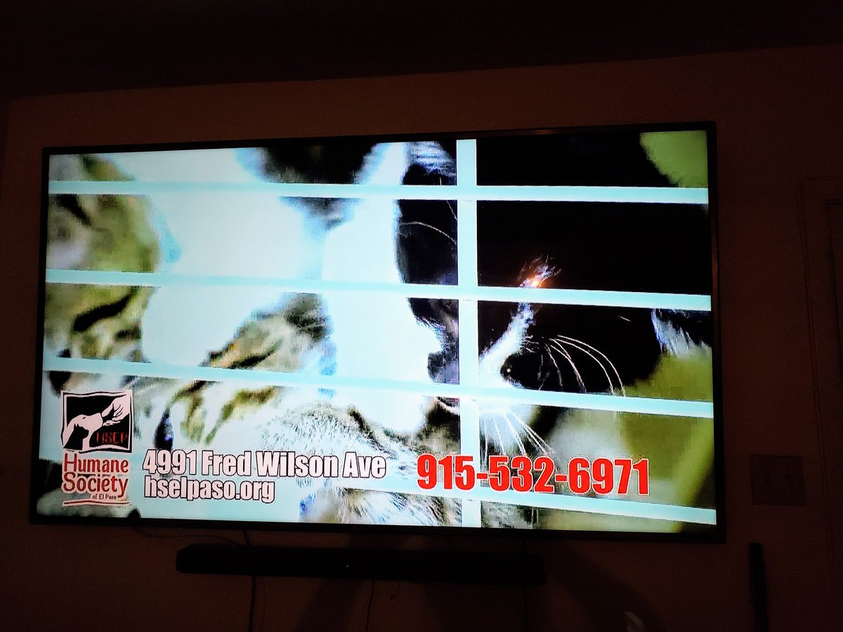 Guess who made her debut in a late night commercial?  Wasn't told anything about it....