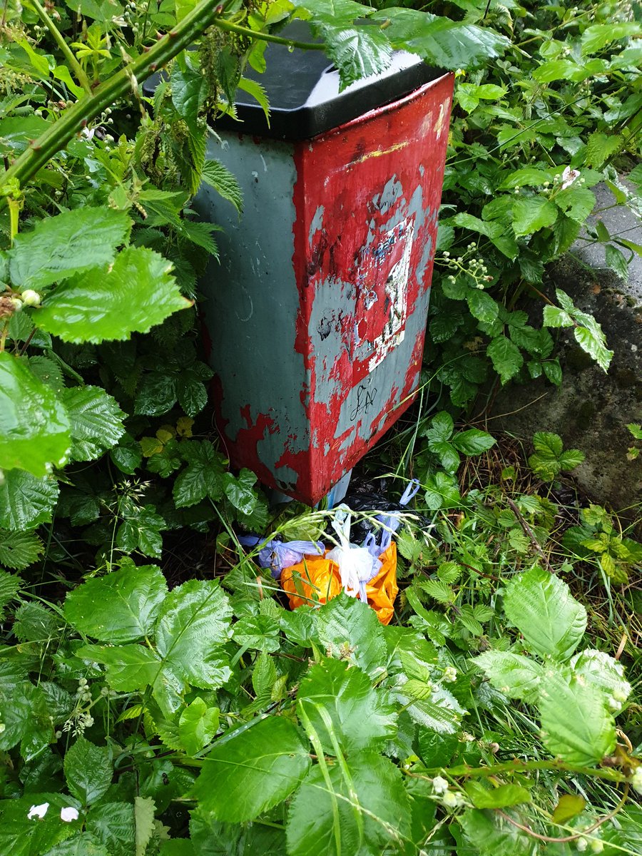 Tn9Greyhound's tweet photo. @TMBC_Kent please do something about this bin on Tudeley Lane opposite Barns Lodge Nurising Home. It has been reported before but nothing is done. Brambles are stopping access and if you can get to it the base of the bin broken! #LoveKent #lovewhereyoulive #Tonbridge https://t.co/z3gcix5FoP