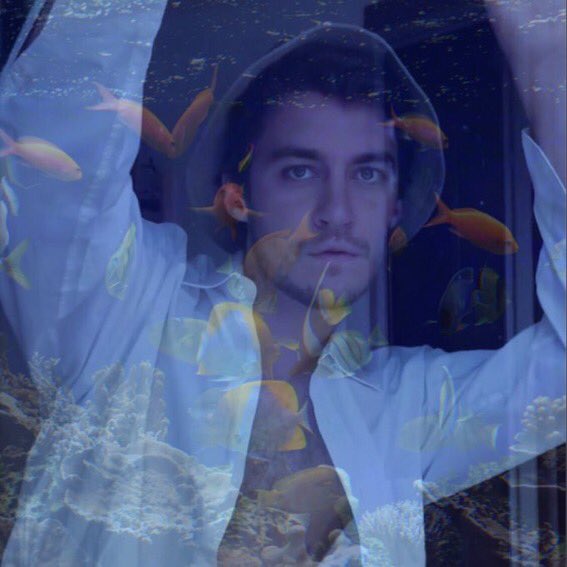 lucybickerton_'s tweet image. me looking at the fish I donated to the museum in animal crossing