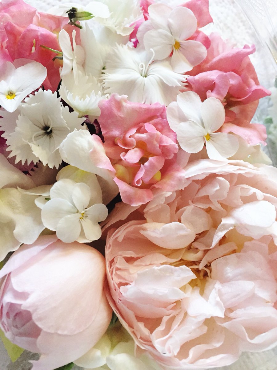 GrowCreateJoy's tweet photo. I feel like it’s some kind of small miracle that any flowers survived the incredibly heavy rain this week, never mind these pink and white mixes. I’ve had quite a few pink and white requests already this season. Is it this year’s colour trend, I wonder?
#edibleflowers #nottingham https://t.co/CvewXlXUTq