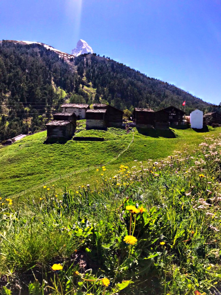 zermatt_tourism's tweet photo. Spot our beloved mountain! 😍😍 #zermatt #mattehorn #Switzerland https://t.co/WoZBgPHgWi