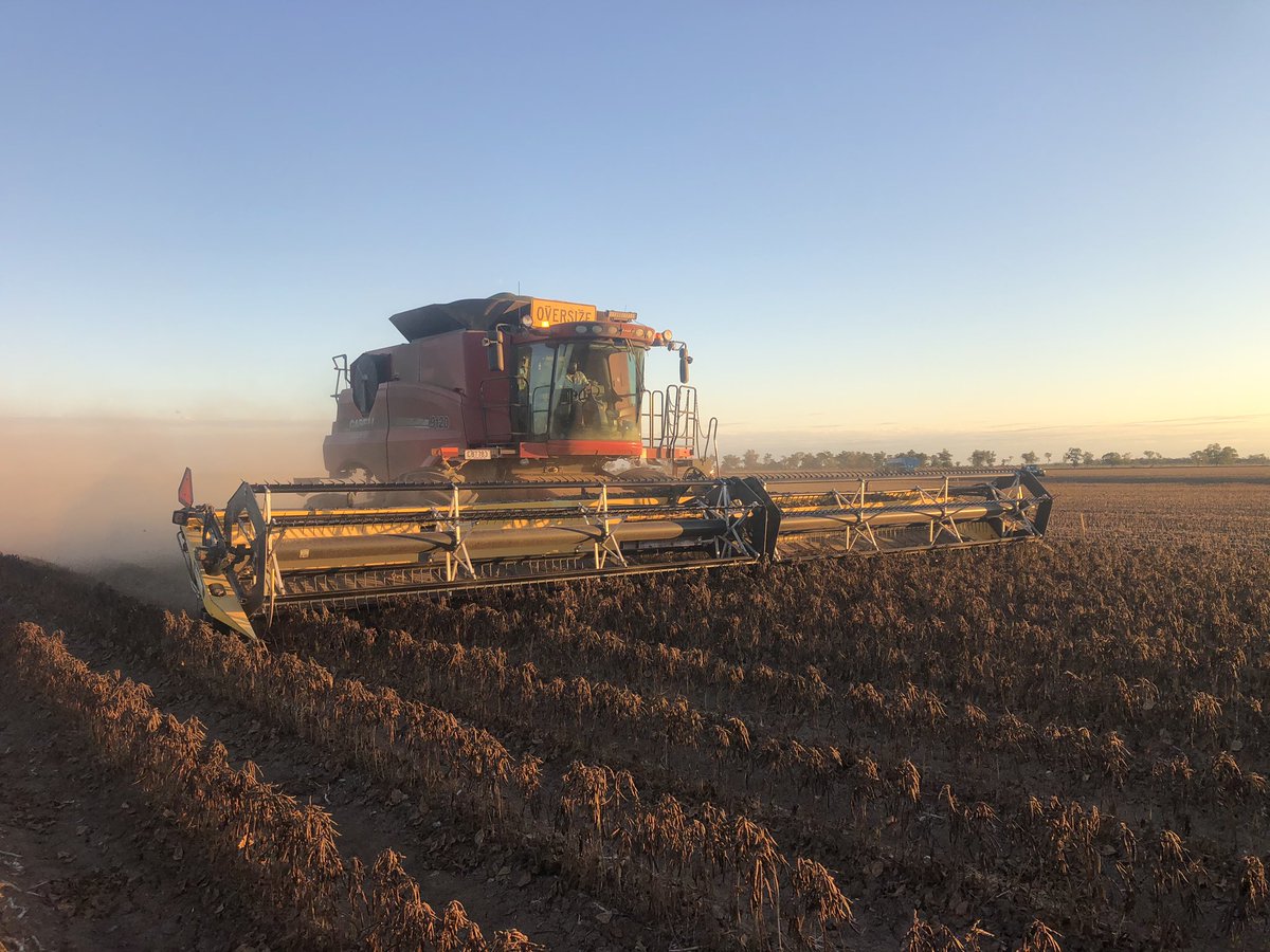 As the sun sets in the west, and on summer 2019, the last of my clients mungbean crops is hitting the bins😊