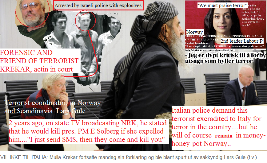 thenettrolls's tweet photo. NRK - Norges Raude Krigare-journalister har i dag gått til frontalangrep - igjen - på oss konservativer.  Og Norges Terror Bastion NTB hjubler og refererer. Snart får vi NORGES FØRSTE TERRORIST, Lars Gules oppfølging.
https://t.co/xEMNTgLWdK 
@frp_no @resettno @erna_solberg https://t.co/4FmQvw3MqZ