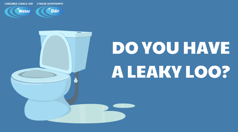 CCWvoice's tweet photo. Think your #toilet may be leaking?  Add a few drops of food colouring to the cistern and don’t flush it for around an hour. If the food colouring is present after an hour, you have a #leak #ThursdayThought https://t.co/W0297zCaI6 https://t.co/5anUDBOuKk