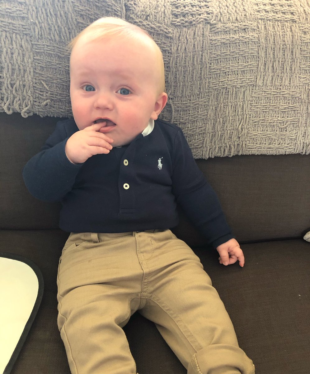 BecciSnashfold's tweet photo. Maximus 💙 https://t.co/wb0THPRddZ