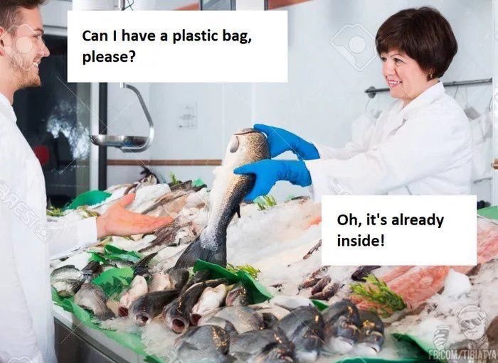 เดย์ ,, tweet media