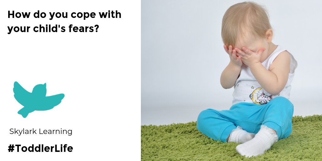 SkylarkLearning's tweet photo. How do you cope with your child's fears? #MyFirstEmotions will help children to understand their feelings #parenting #toddlerlife #emotionaldevelopment #empathy #emotionalintelligence https://t.co/ZRIomEIRWd https://t.co/HlgOxUKyZP