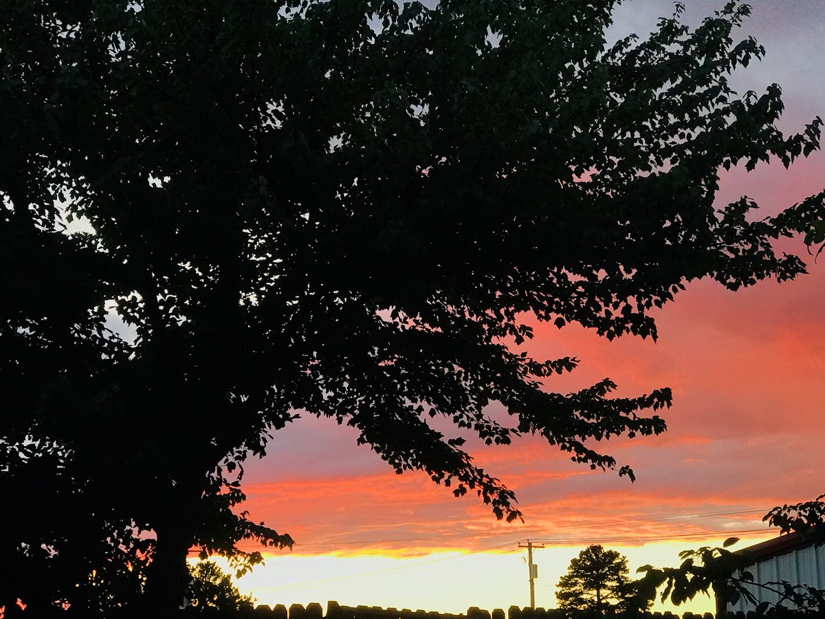mboley013's tweet image. Sunset Wednesday night in Russellville AR! #sunset @KATVToddYak