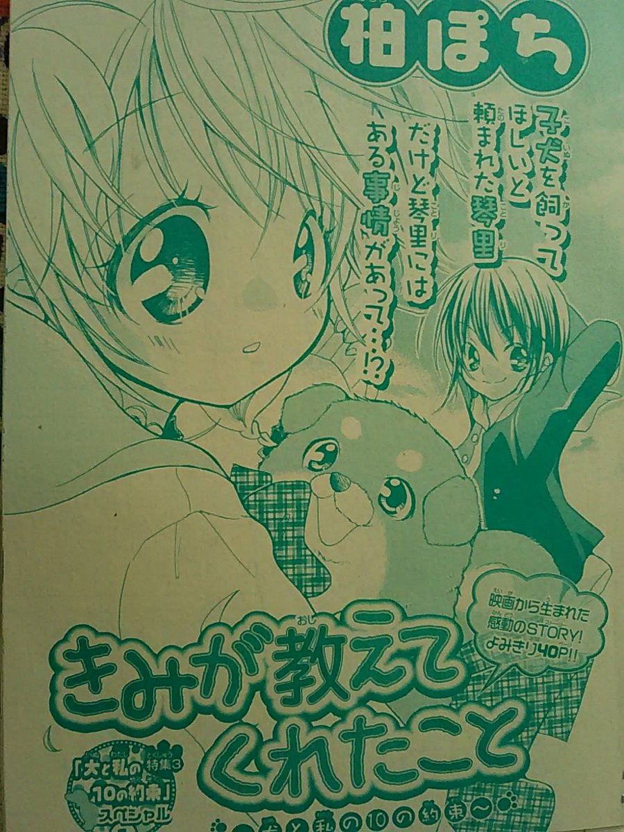 ちゃちゃちゃ Amazon.co.jp: DCA ハーフムーン チャチャ : おもちゃ