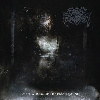 pregonermetall's tweet photo. VICTIMS OF CONTAGION (Estats Units) presenta nou àlbum: "Lamentations of the Flesh Bound" #TechnicalDeathMetal #VictimsOfContagion #EstatsUnits #NouÀlbum #Juny #2019 #Metall #Metal #MúsicaMetal #MetalMusic https://t.co/u6tXmiZKtT