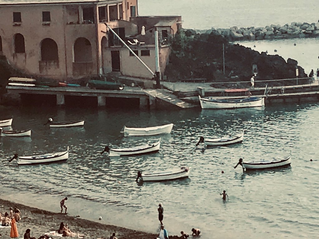 gardenlevanto's tweet photo. la flotta di Rosa dei venti è pronta #boattours #visitlevanto https://t.co/VrGpdXT4Yu