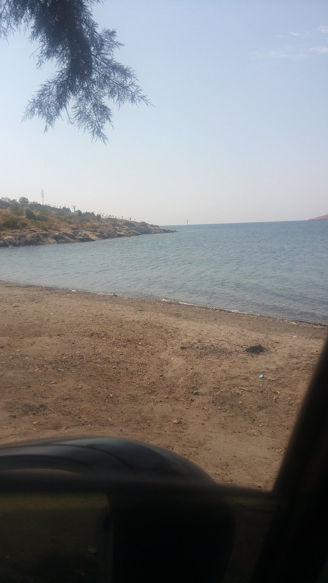 #bodrumgay #yahsi #bodrumpasif #bodrum Yahşi ormanında yalnızım yakın kimse var mı