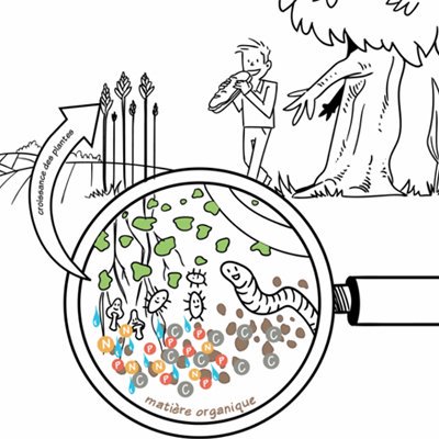 INRAE_Intl's tweet photo. The #4per1000 initiative aims at ↗ organic matter content & #soil #carbon storage, through farming and forestry practices
> Principle https://t.co/9BuycNhvOs
> Potential in France? Restitution of the #INRA study conducted for @Min_Agriculture & @ademe⤵ https://t.co/cBsCpmCYQs