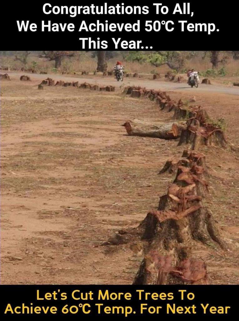 kohli_anju's tweet photo. #CutTrees #Temerature🔝
cut more trees🌴🌱👍 https://t.co/ktpOQENCTD