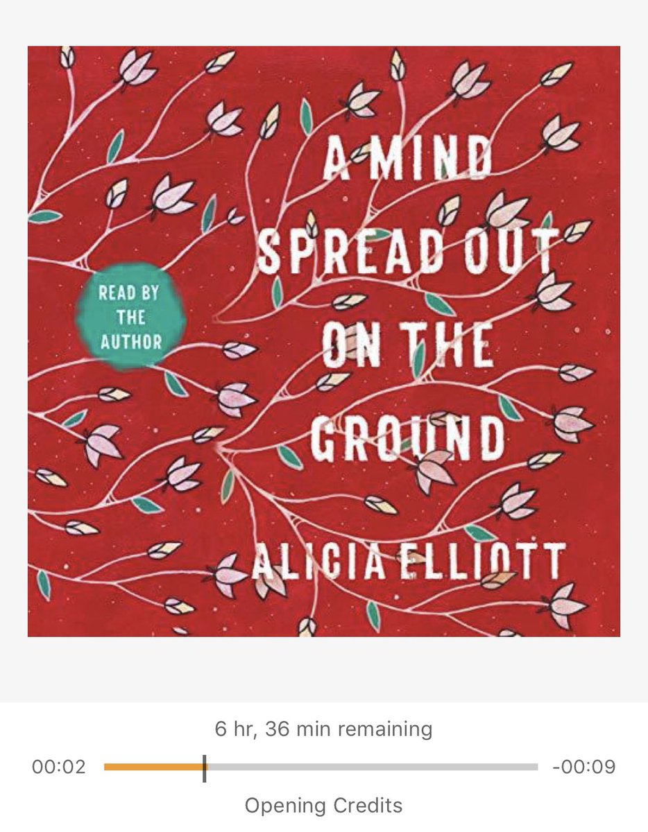 awahihte's tweet image. Here we go!! Who cares about delayed flights when I have @WordsandGuitar ‘s words in my ears - so excited to finally get to listen to this beautiful book! #NativeLit