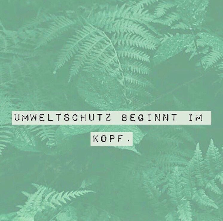 Claudia Sommer tweet media