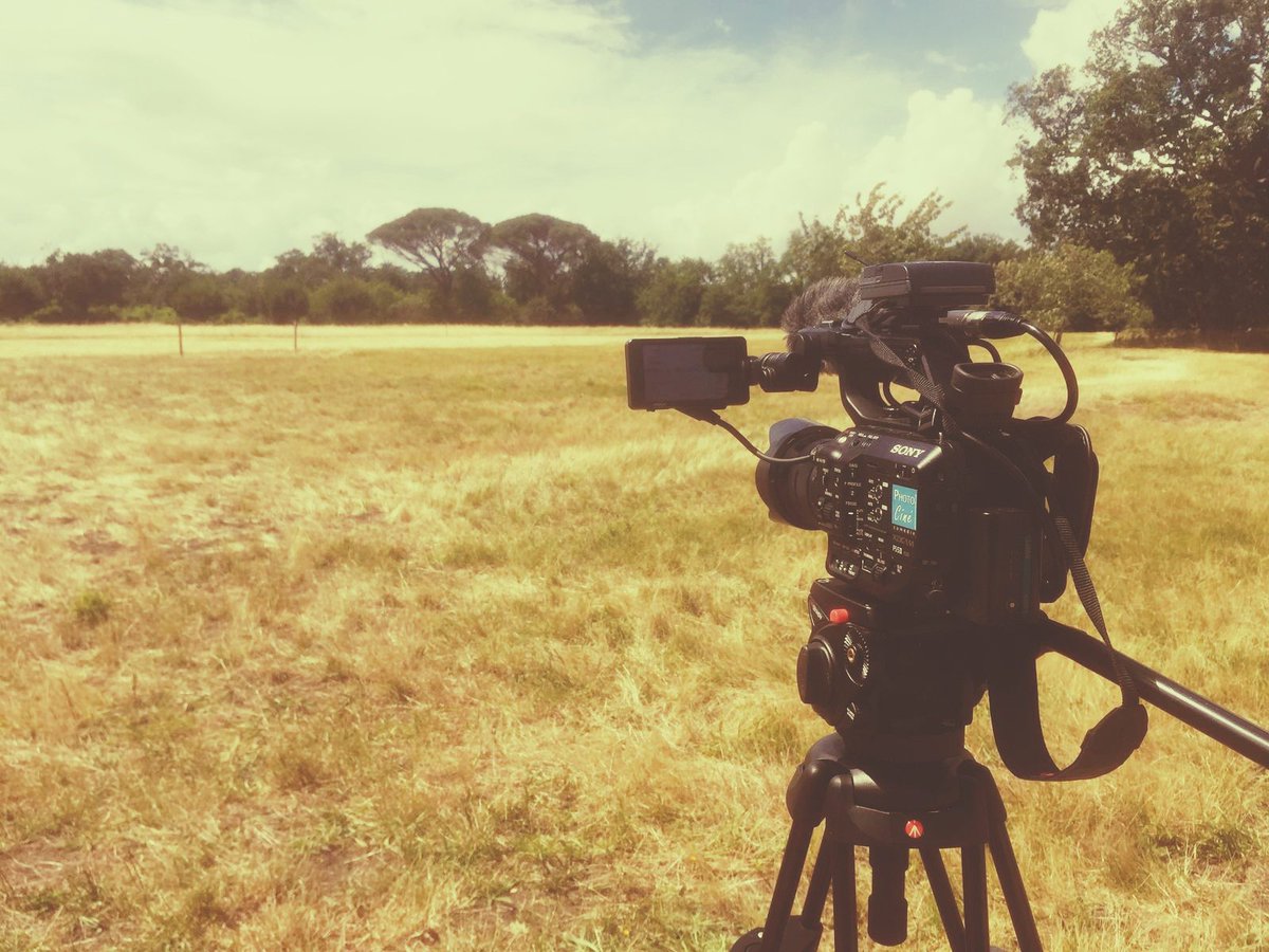 gillescazaux's tweet photo. En tournage pour le département de la Gironde. Un décors magnifique et de très belles rencontres… à suivre 🎬
#protectiondelenvironnement #natureisbeautiful #sonyFS5 #territeo #eveillezvous https://t.co/31WQ6kX8Fz
