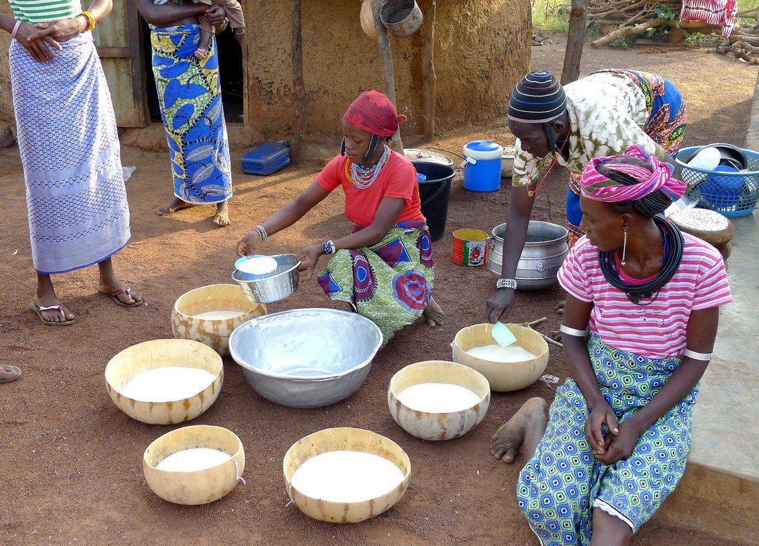 Cirad's tweet image. [#AfriquedelOuest] La diversité des #produitslaitiers, un patrimoine culinaire menacé par les importations de poudre de #lait
👉🏽bit.ly/2KKieo5

Des travaux de G. Duteurtre, économiste au #Cirad, présentés au symposium international #LaitVecteurdeDéveloppement @SOSFAIM