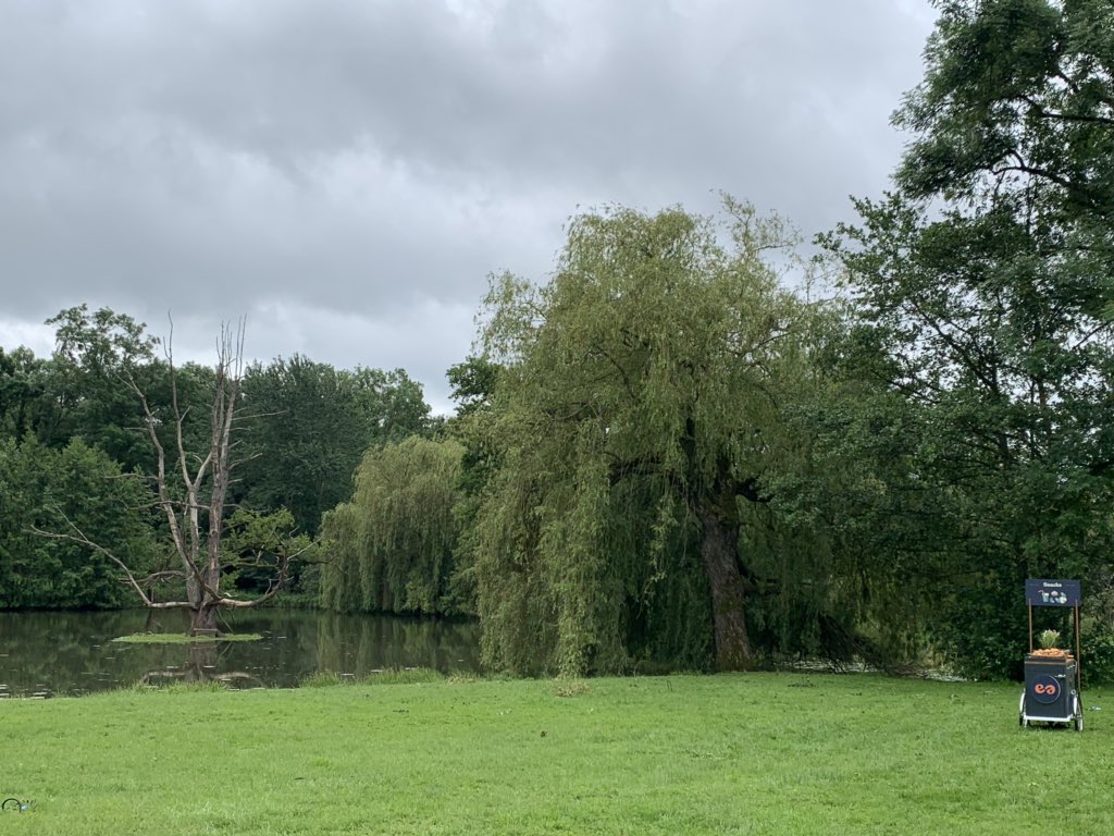 onderceylan's tweet image. Tech conference at a country side of Paris? In a medieval French 🏰 from XIIIth century? Hell yeah I’m in! 🤓 #devbreak19 @DevBreak19