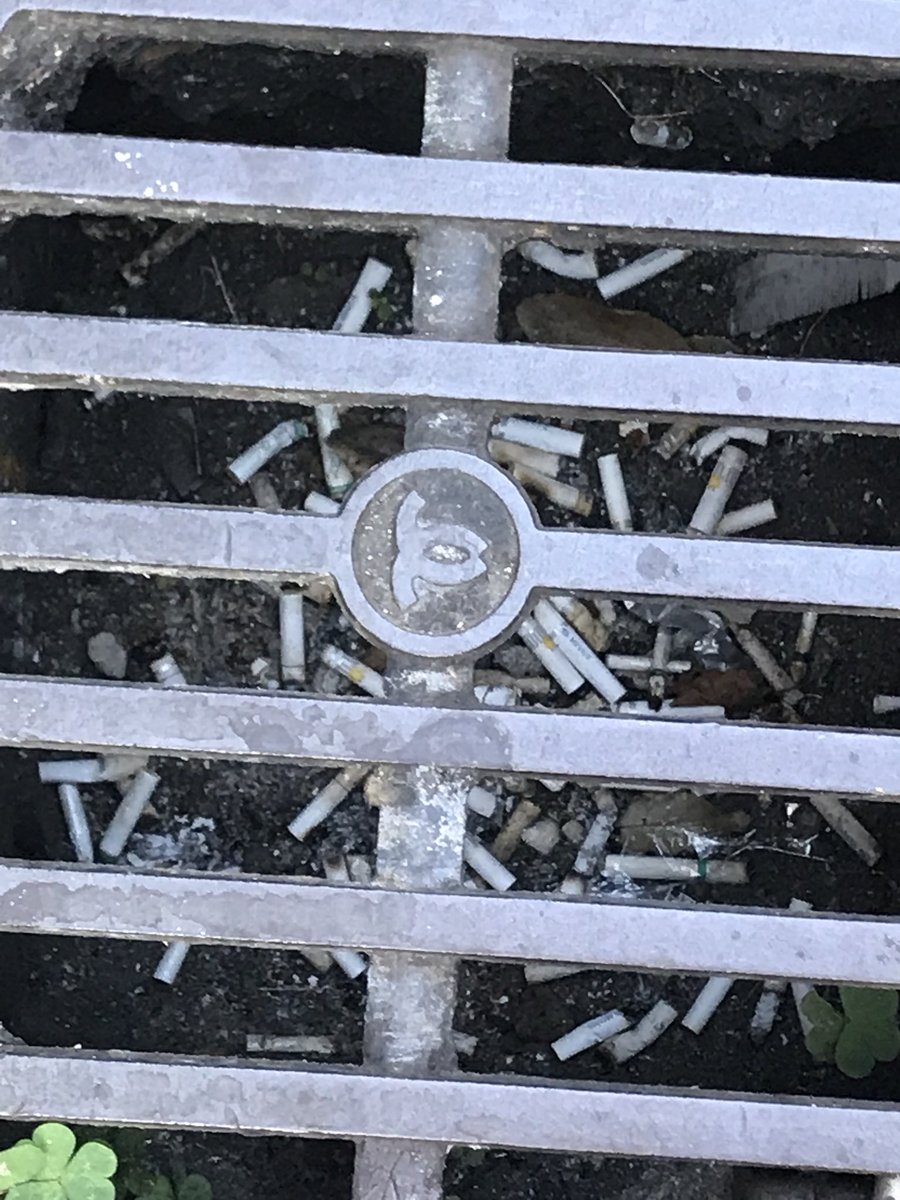 JSoccerMagazine's tweet photo. Inside the average drain in Japan. No wonder the fish are getting poisonous! #CleanJapan ? Is it f”””! https://t.co/P1wfM9zFCD