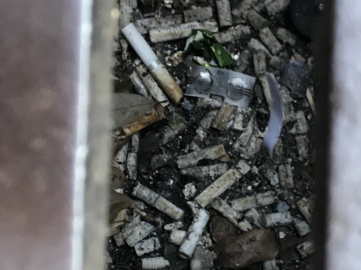 JSoccerMagazine's tweet photo. Inside the average drain in Japan. No wonder the fish are getting poisonous! #CleanJapan ? Is it f”””! https://t.co/P1wfM9zFCD