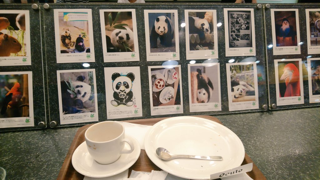 muzumuzuboy's tweet photo. 以前にも投稿した上野駅ecuteにあるUP CAFE ☕
ポストカードが店内に飾られていてその中にはリーリーとシンシンがいて一人3枚まで貰えます🐼😊

#上野駅 #ecute
#UPCAFE
#リーリー
#シンシン https://t.co/FBGJXLgXm1