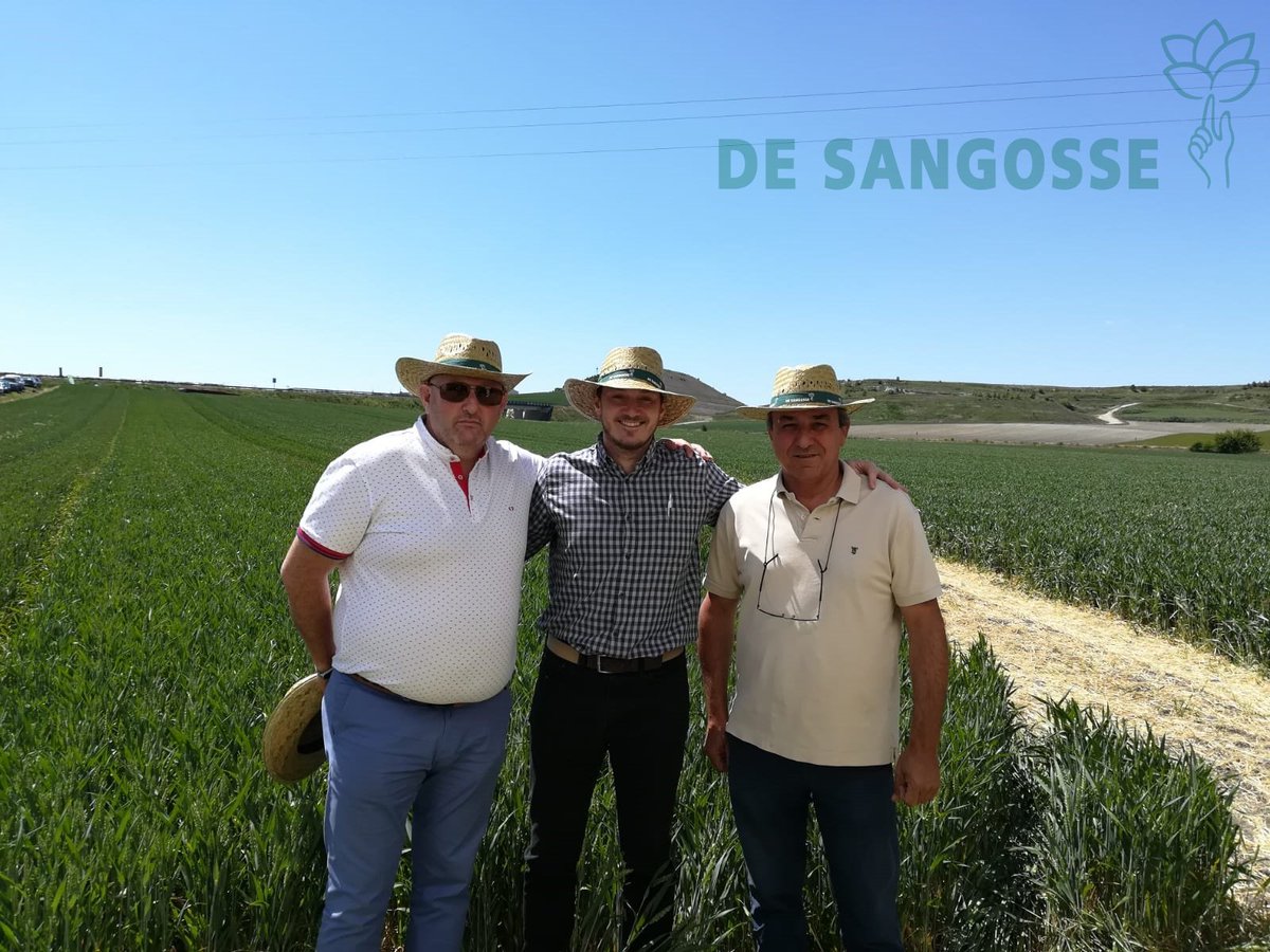 DeSangosseIB's tweet photo. 🚜El equipo de I+D se desplaza a Roturas ( Valladolid), en plena D. O. RIBERA DEL DUERO 🔎
🍇En esta ocasión, la #Viña ha sido la afortunada para el ensayo que vamos a realizar, y así mejorar su evolución 🧬
#EnsayosDSI 🧪
#EquipoDSI
#PlandeNutricion
#TomadeDatos 📝 https://t.co/xI9gjpx3H4