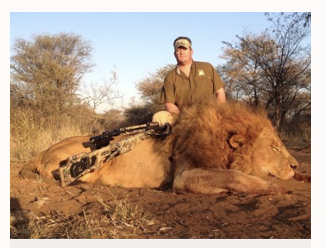 CBTHunting's tweet photo. Take your pick from the ‘Lion Supermarket’:

Blonde Mane Lion: $16,500 Black Mane Lion: $25,000 White Lion: $30,000

It’s time to STOP this SICK INDUSTRY!

Retweet if you agree!

#BanTrophyHunting https://t.co/2mljBiDVTO