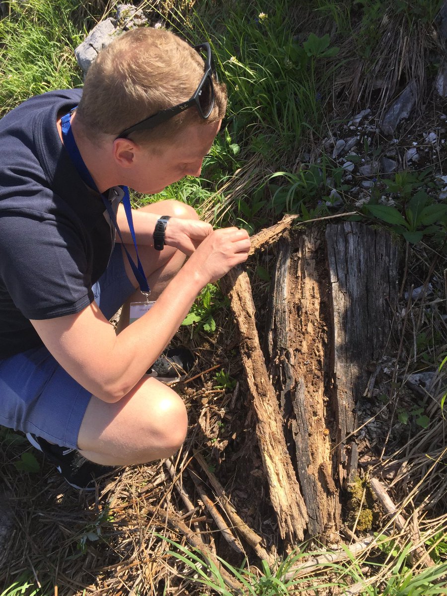 EUSTAFOR's tweet image. European #stateforests Conference 2019 hosted by #ÖsterreichischeBundesforste has just started in Salzburg, Austria