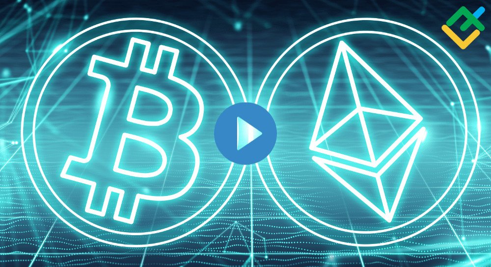 Liteforex Official Liteforex Worldwide Latest News Breaking - 