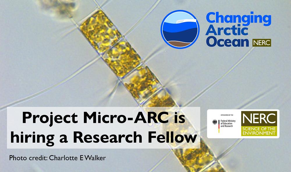 NERC_CAO's tweet image. JOB OPPORTUNITY: project #MicroARC is hiring a Research Fellow in #Arctic #Ecosystem #Modelling to work with @drbenward at @OceanEarthUoS. Deadline 11 July 2019. More details here bit.ly/MicroARCjob @NERCscience @BMBF_Bund #UKinArctic #ArktisImWandel