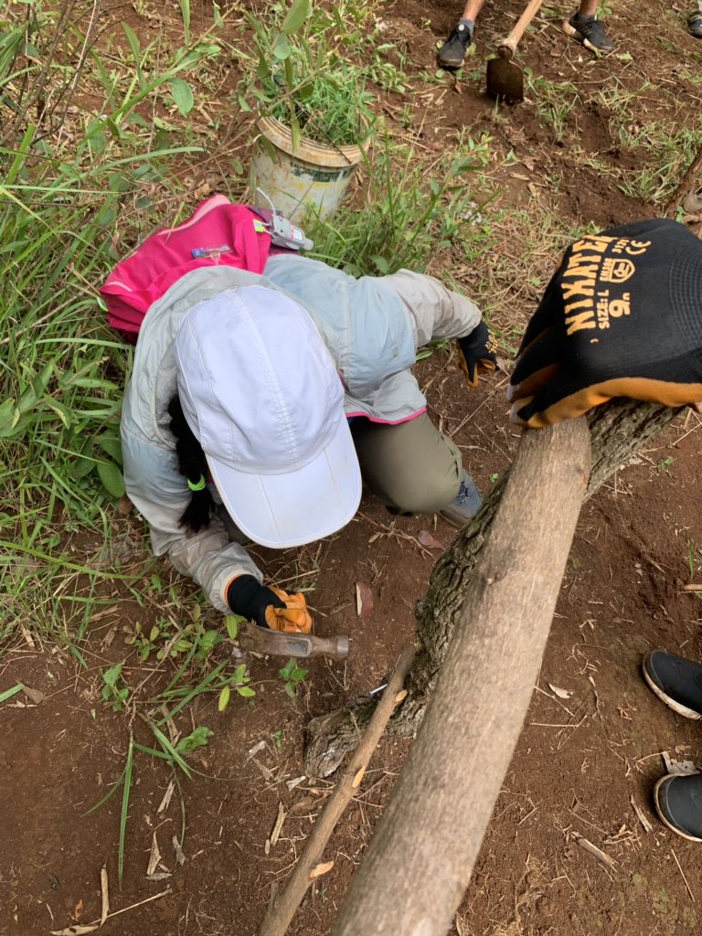 MrTangEDU's tweet photo. So impressed over the last few days with @VSAHKG students volunteering at Elephant Valley Project in Mondulkiri, Cambodia. They planted bamboo, built fences and sweated in 34 degree heat! #CAStrip #Cambodia #elephants #VSAHKG #adventure #service #IB https://t.co/FU0F6Yaurm