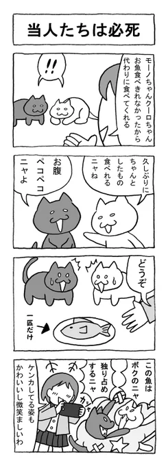 ねこまんがかいてみた127「当人たちは必死」
#ねこ #猫 #猫漫画 #4コマ #4コマ漫画 #マンガ #ペット #ケンカ #魚 