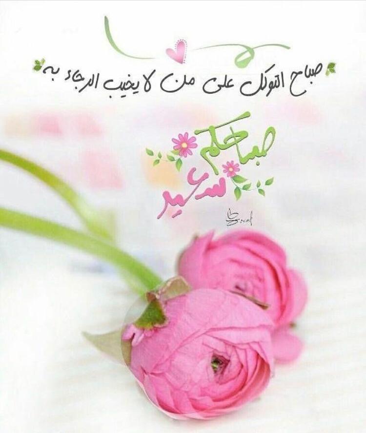wahshna's tweet photo. @ghalii2222 فيه ايه https://t.co/MUQLo3PF0k