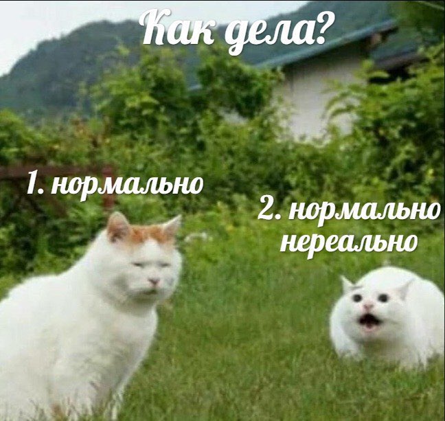 bulki_spb's tweet image. 