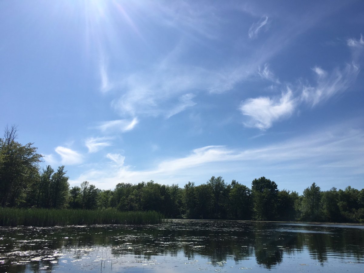 My view yesterday afternoon, lovely spot to paddle, calm peaceful, off the beaten path ! So good for the soul 💕 #BigRideauLake #RideauCanal #SupBoarding #Paddling 🏄‍♀️ #FoodForTheSoul