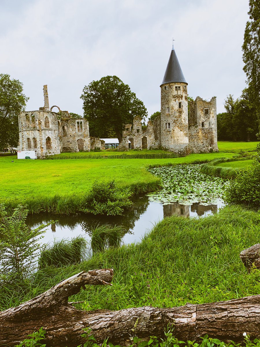 tenosiswono's tweet image. I&apos;m ready for devbreak. #devbreak19