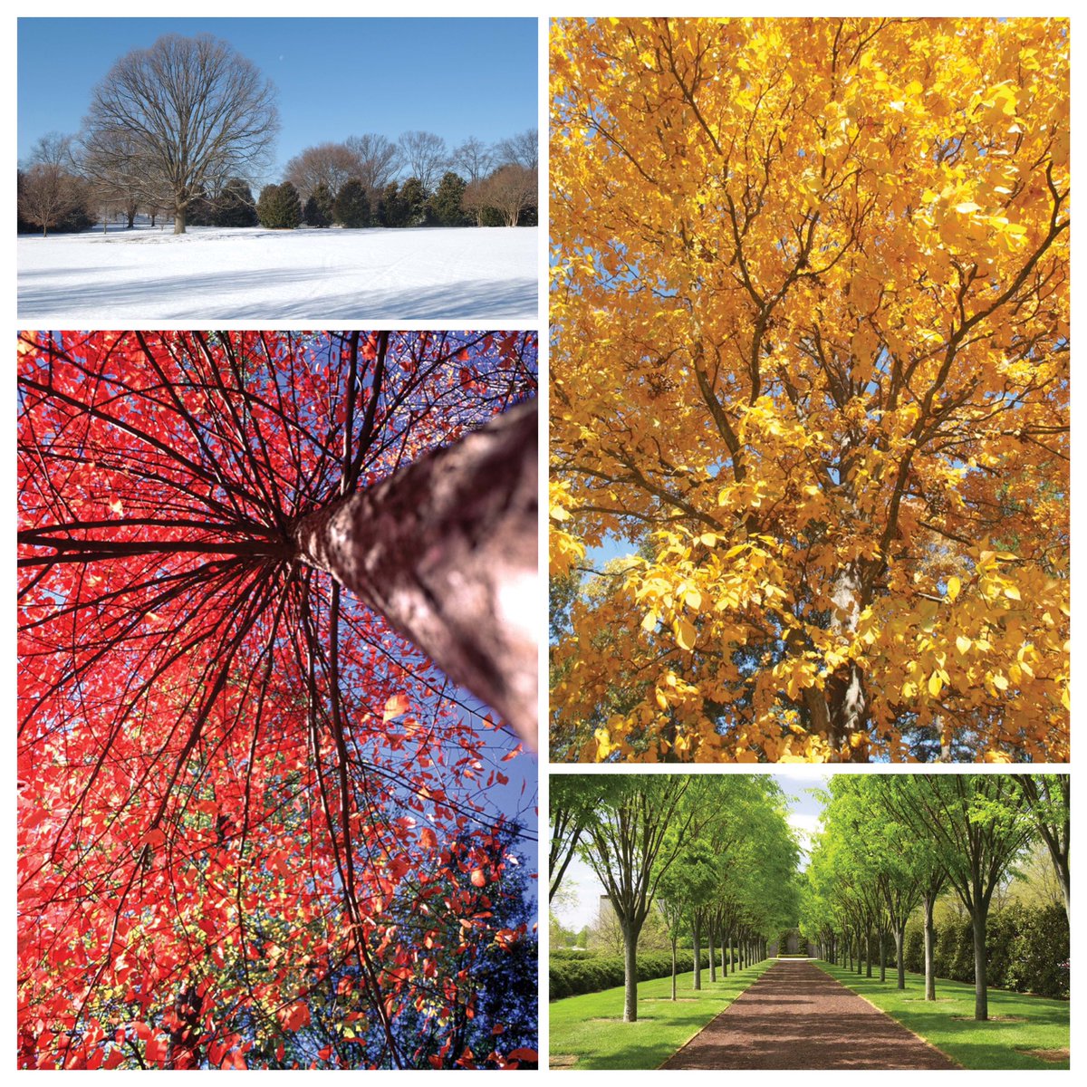 Milliken ist seit jeher als Pionier im Konzept des nachhaltigen Produktdesigns anerkannt. Hier sehen Sie, warum: bit.ly/2PC1j7O

#entdeckemilliken #Nachhaltigkeit #donnerstag