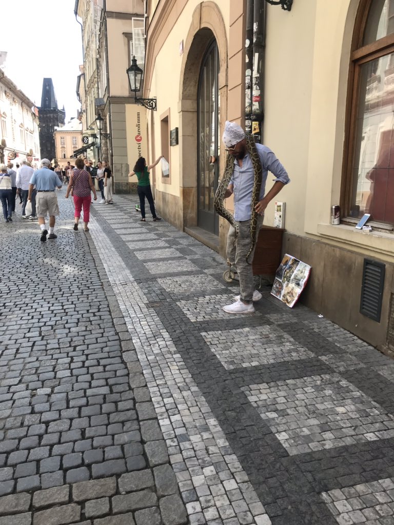 ハクメス3世 カレル大学の本屋から出たら 壁のすぐそばに男の人が立っていて カゴから大きな蛇を取り出していた ぎゃあーーー ハクメス3世 カレル大学の本屋から出たら 壁のすぐそばに男の人が立っていて カゴから大きな蛇を取り出していた ぎゃあーーー