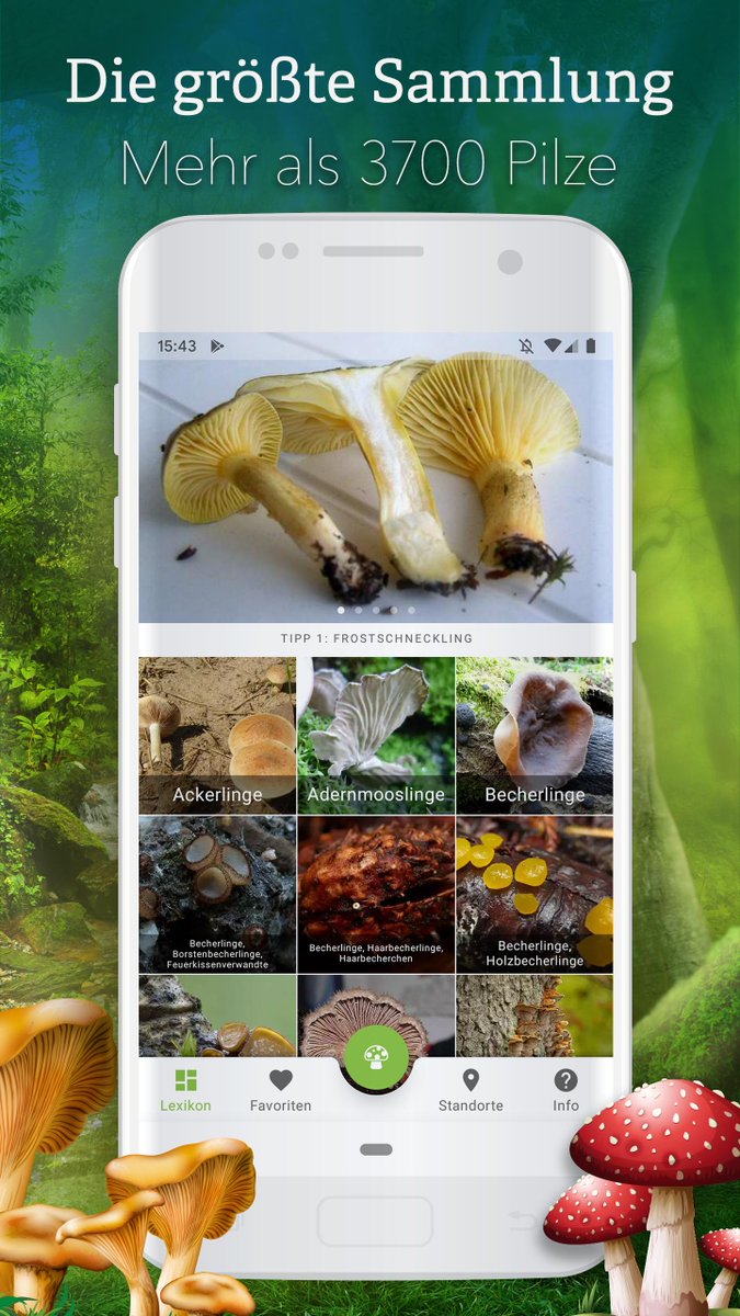 AndroidAppJunky's tweet image. Best Mushroom App 🍄😇 (Release on Monday)
watch preview: youtu.be/SyLiS14T_Wc
#MachineLearning #AutoML #JetPack #MaterialDesign #GoogleIO #MLKit #MotionLayout #android
inspired by @camaelon @chethaase @romainguy
