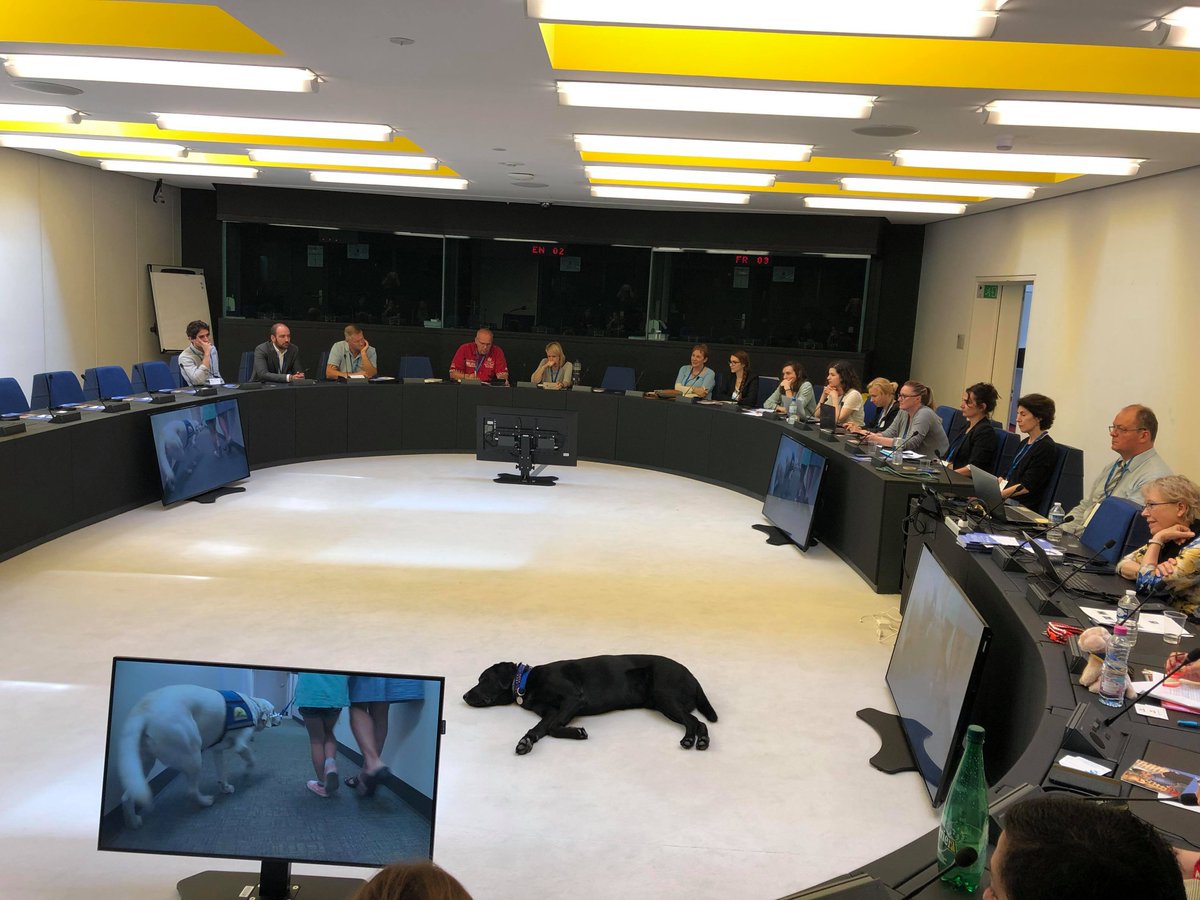 VictimSupportEU's tweet photo. ❗️🎯🌳 A&P Sommer Foundation and @CourthouseDogs are running the workshop ‘Supporting dogs for crime victims: adapting North American models to France and #FacilityDogs’.
#VSE2019AnnualConference
#VictimSupportEU
#FranceVictimes
#VictimsRecovery https://t.co/dYym1r8Ag3