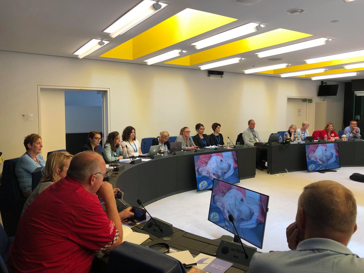 VictimSupportEU's tweet photo. ❗️🎯🌳 A&P Sommer Foundation and @CourthouseDogs are running the workshop ‘Supporting dogs for crime victims: adapting North American models to France and #FacilityDogs’.
#VSE2019AnnualConference
#VictimSupportEU
#FranceVictimes
#VictimsRecovery https://t.co/dYym1r8Ag3
