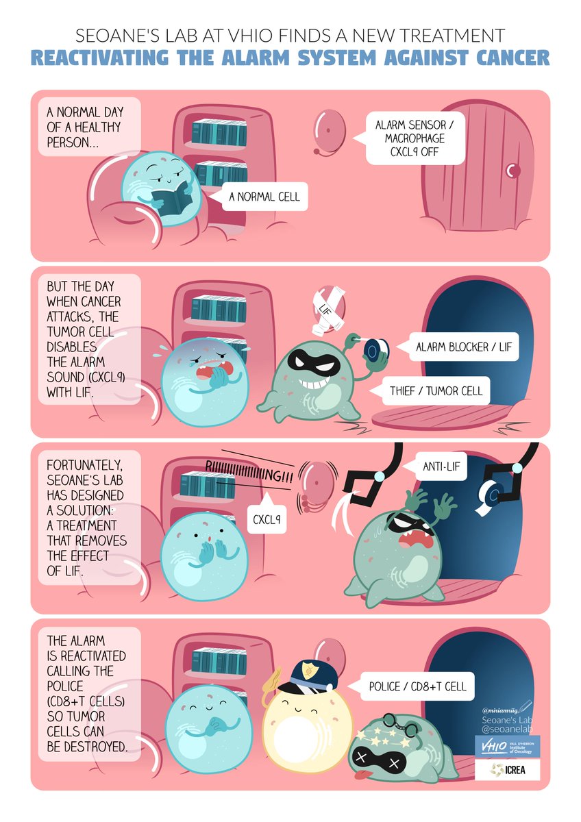 seoanelab's tweet photo. We are extremely happy to see that our idea about a comic of thieves and alarm systems to explain science has been so well received. Here you have it! Thank you all! 
https://t.co/Z2whugYDCe
#sciencecommunication  #CancerResearch https://t.co/FYt1sxnack