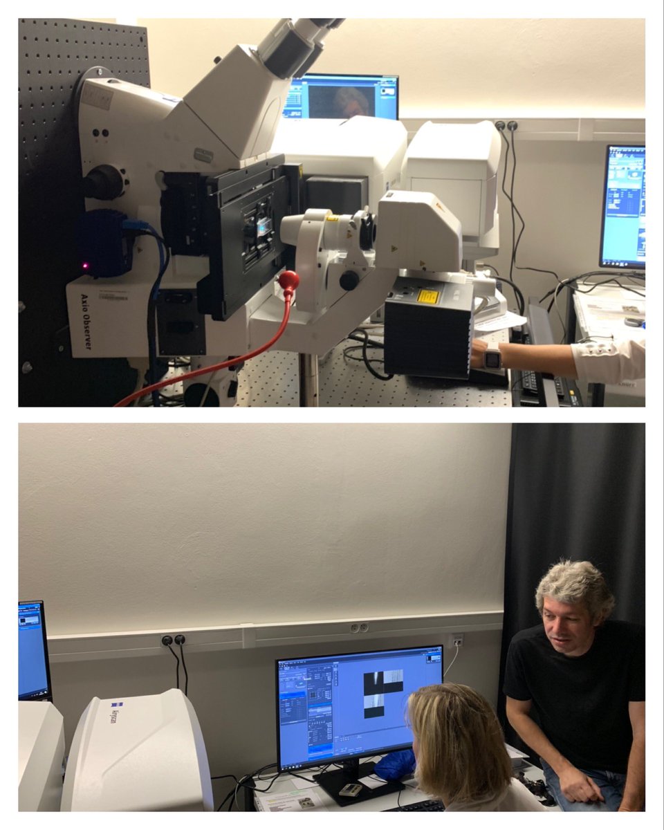 VerenaIbl's tweet photo. First nice sessions at the #GRAVISCOPE (formely known as #HORICON) ๐ at the @PetrasekLab! Amazing! Now #Arabidopsis, in the afternoon #barley! https://t.co/hPouWksf8I