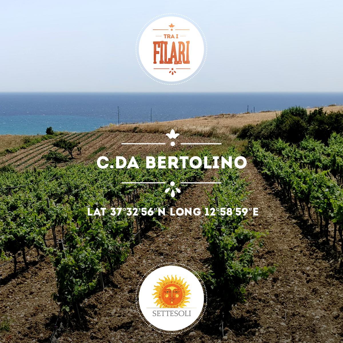 Settesoli tweet media